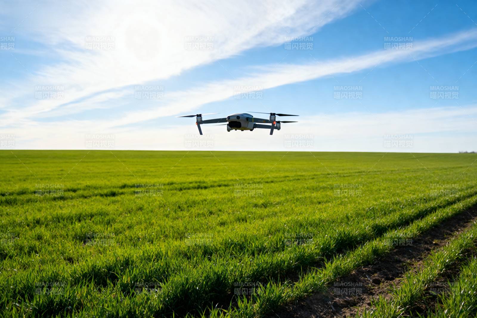 无人机巡田图片