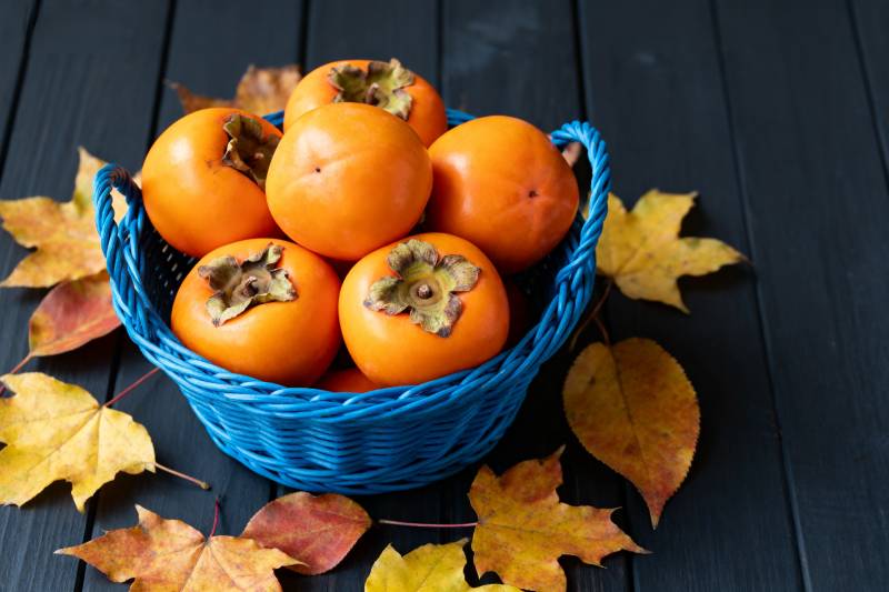 秋日柿子篮图片
