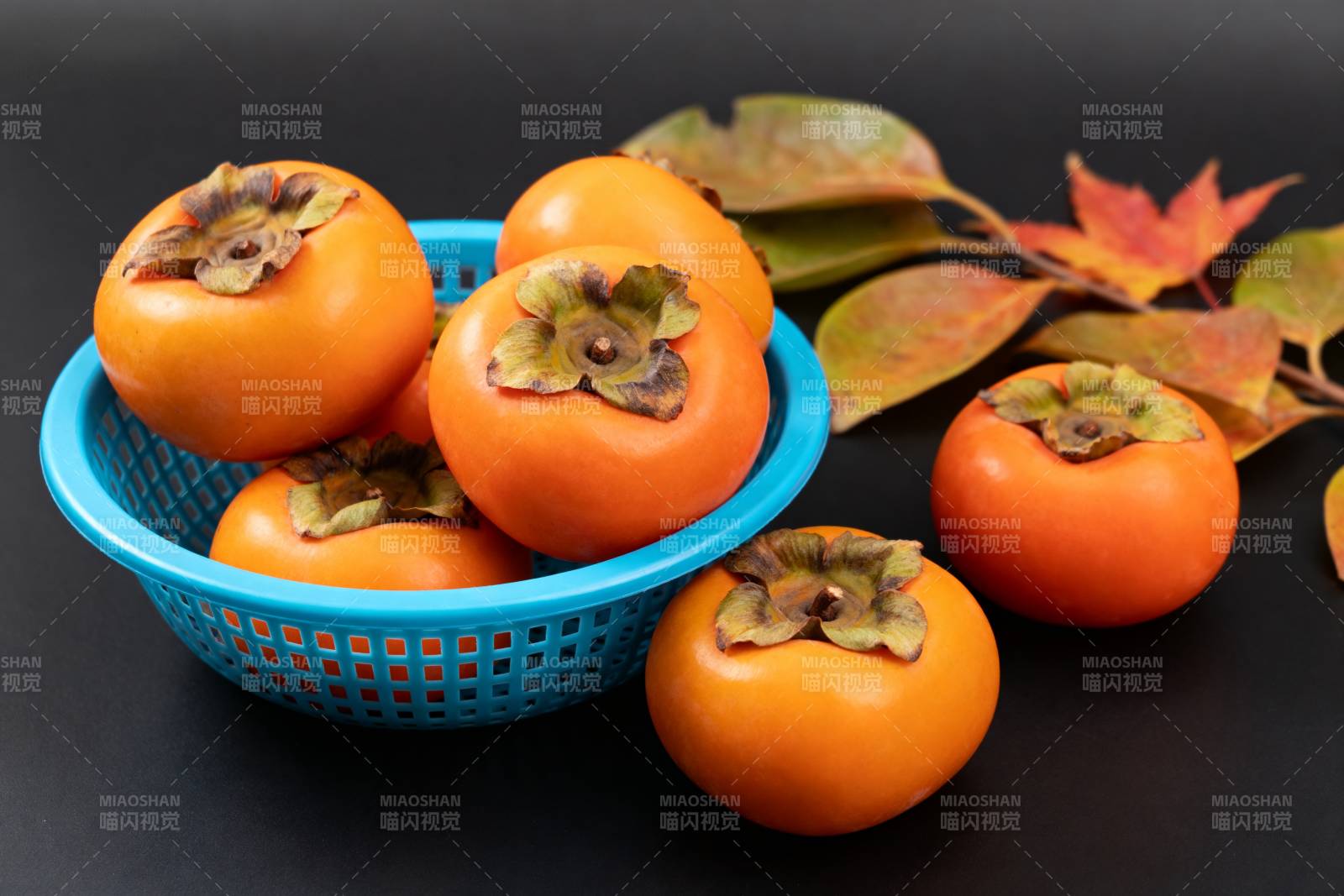 柿子秋色浓图片