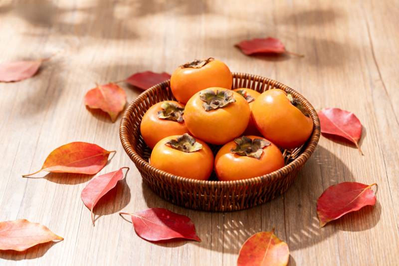 柿子秋叶静美图片