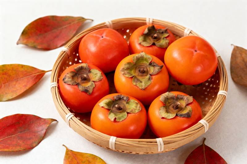 秋日柿子篮图片