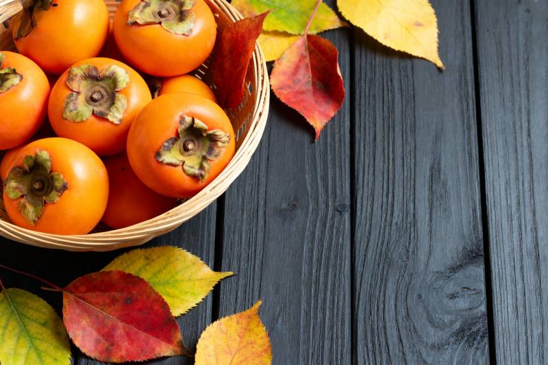 秋日柿子与落叶图片