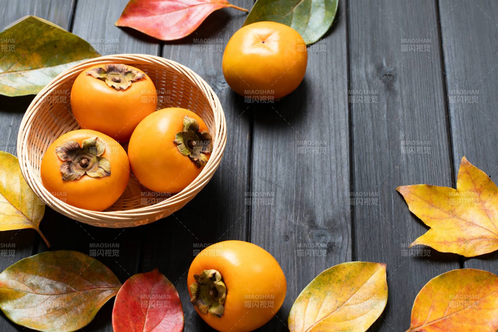 秋日柿子静物图图片