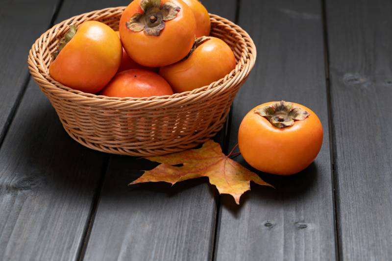 秋日柿子静物图片