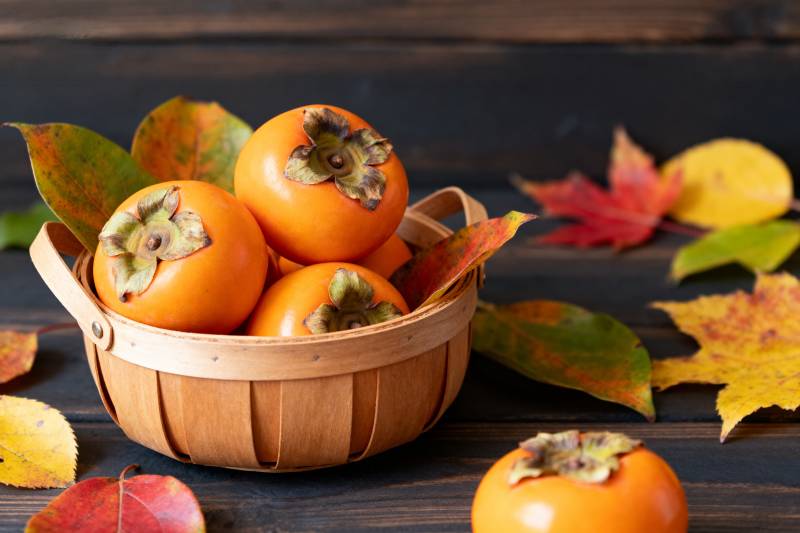 秋日柿子篮图片