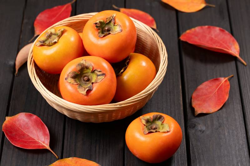 柿子秋叶静美图片