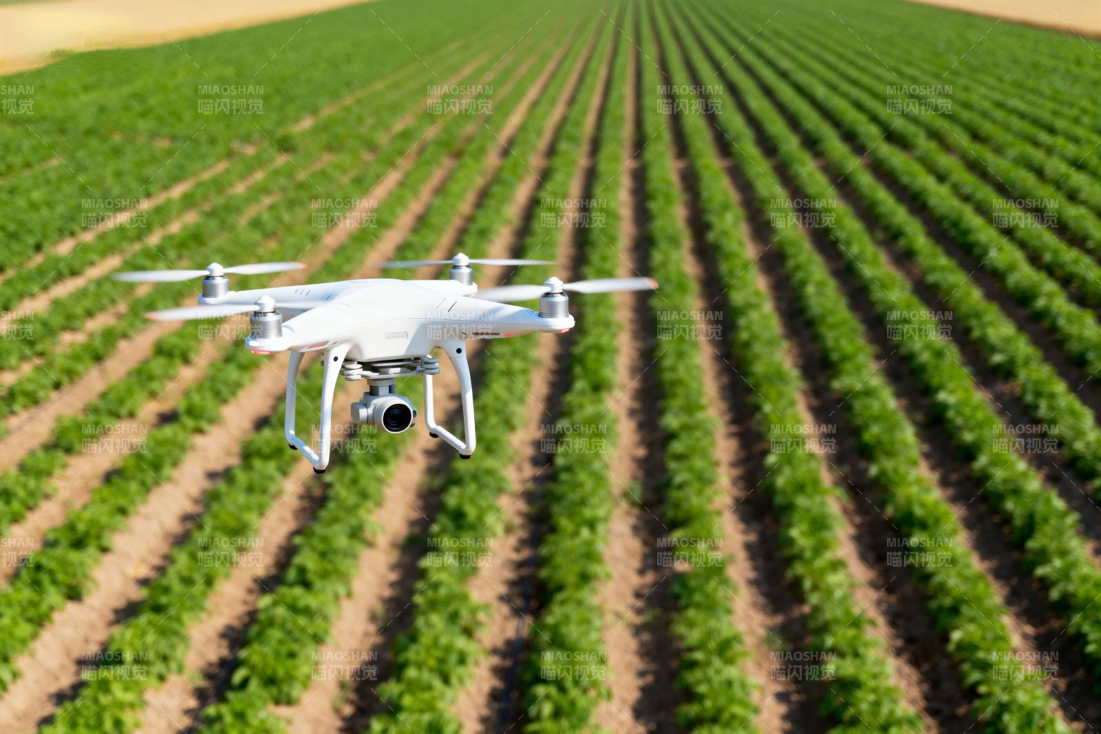 无人机巡田图片