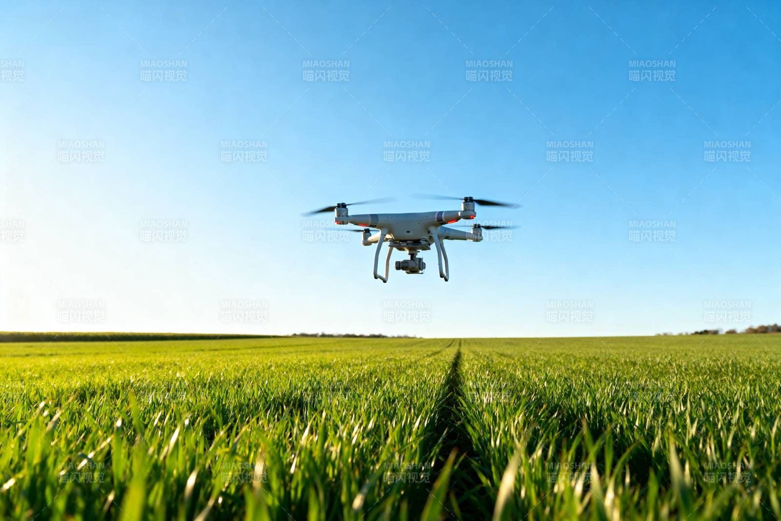 无人机飞越绿野图片