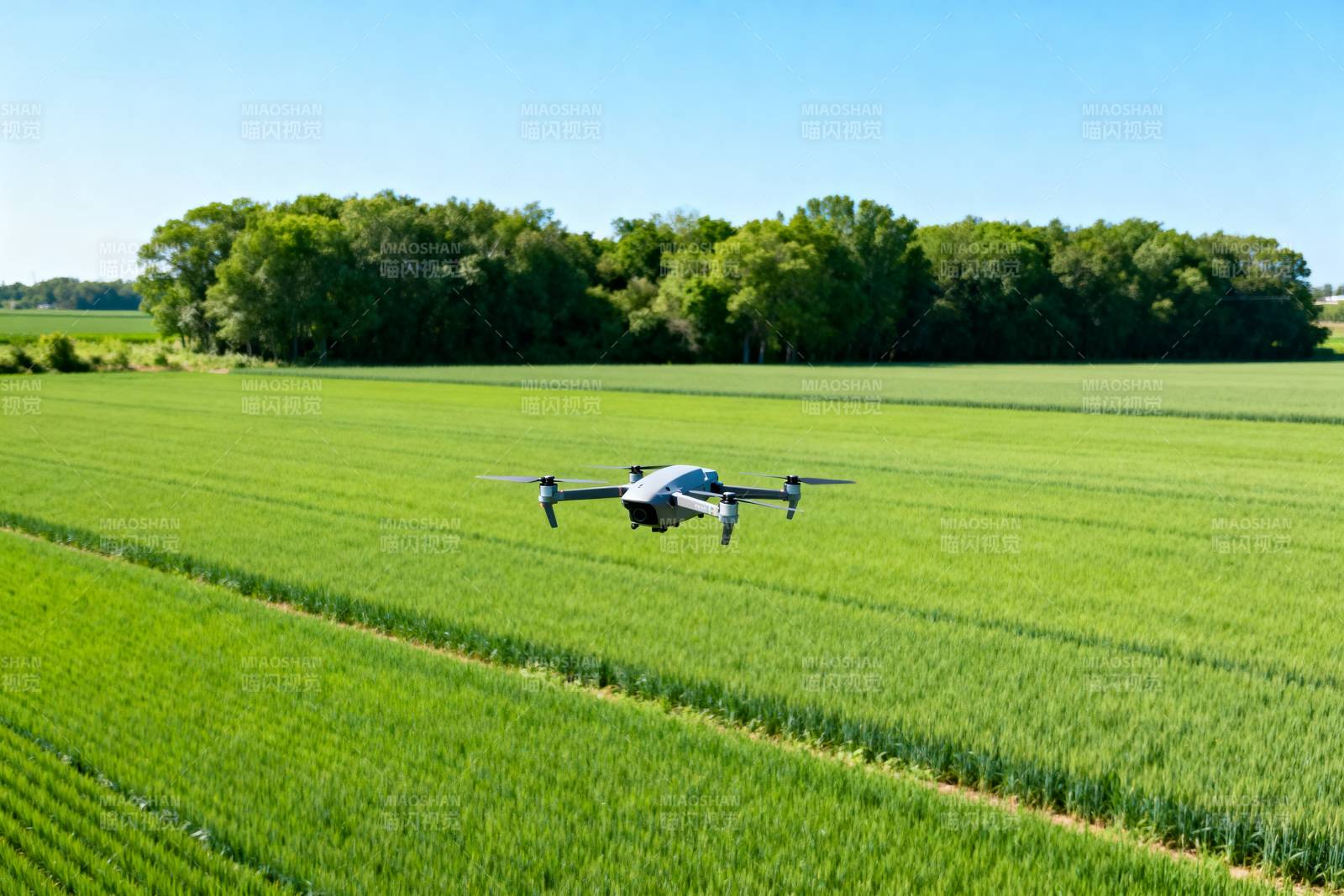 无人机巡田图片