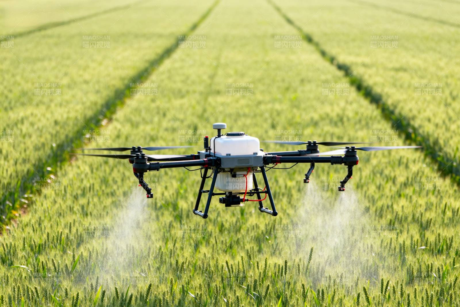 无人机喷洒农田图片
