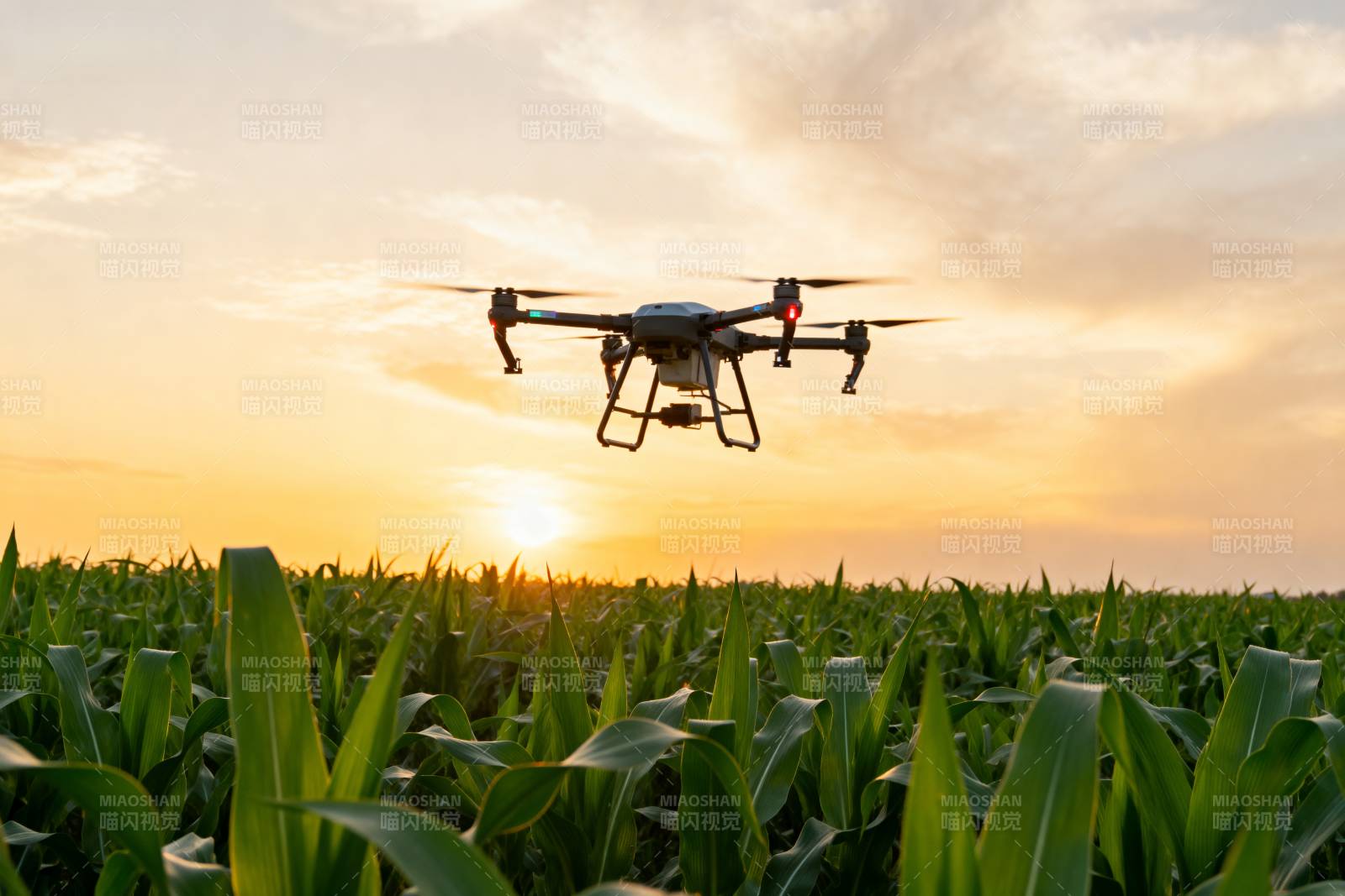 无人机巡田图片