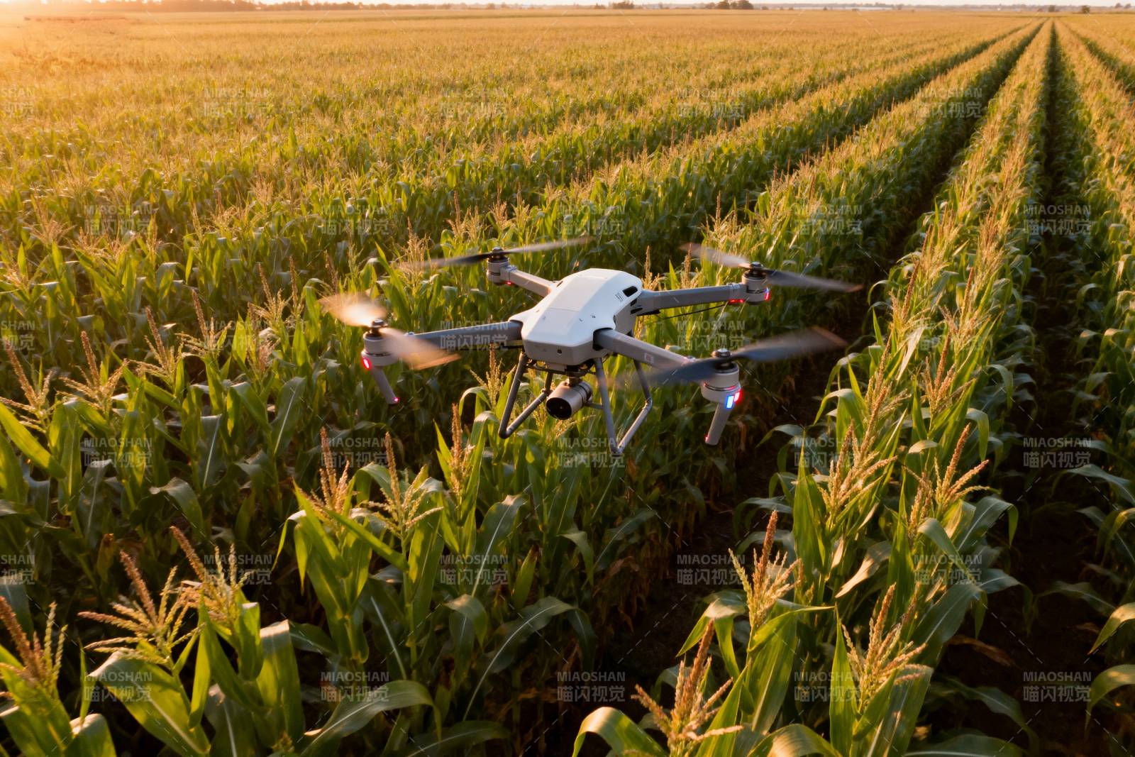 无人机巡田图片