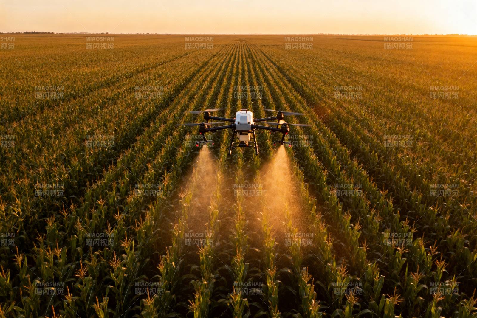 无人机喷洒农田图片