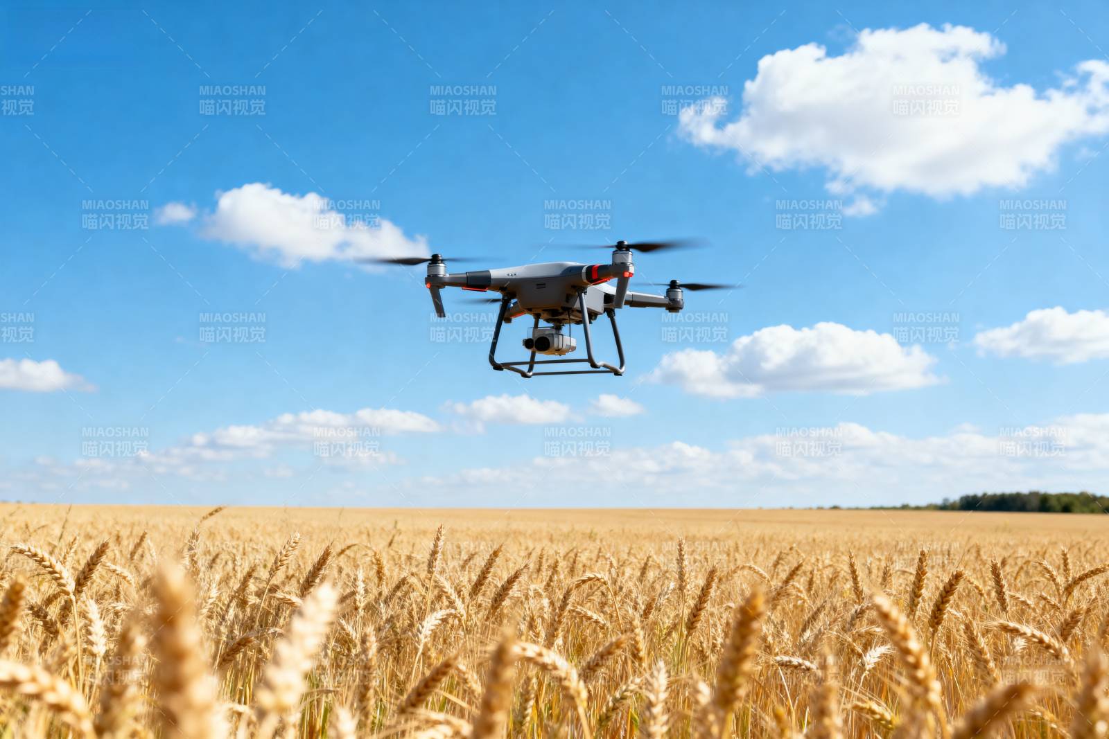 无人机飞越麦田图片