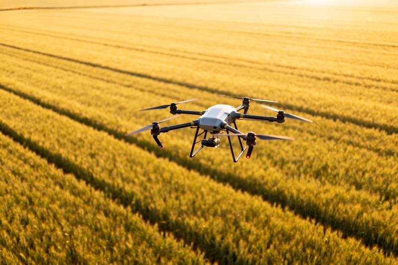 无人机巡田图片