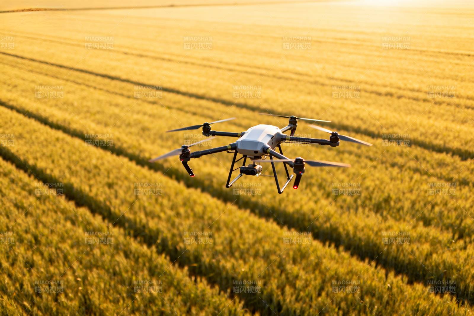 无人机巡田图片