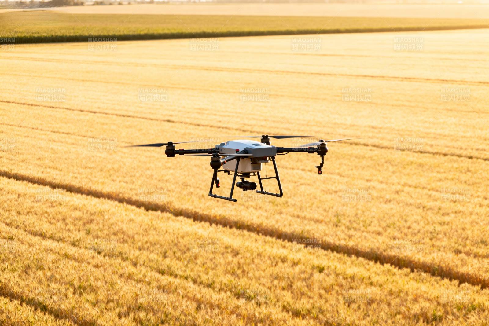 无人机飞越金田图片