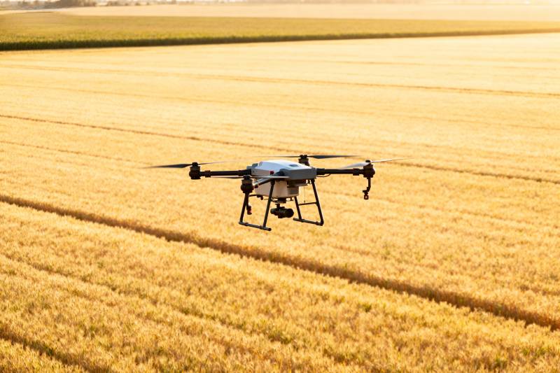 无人机飞越金田图片