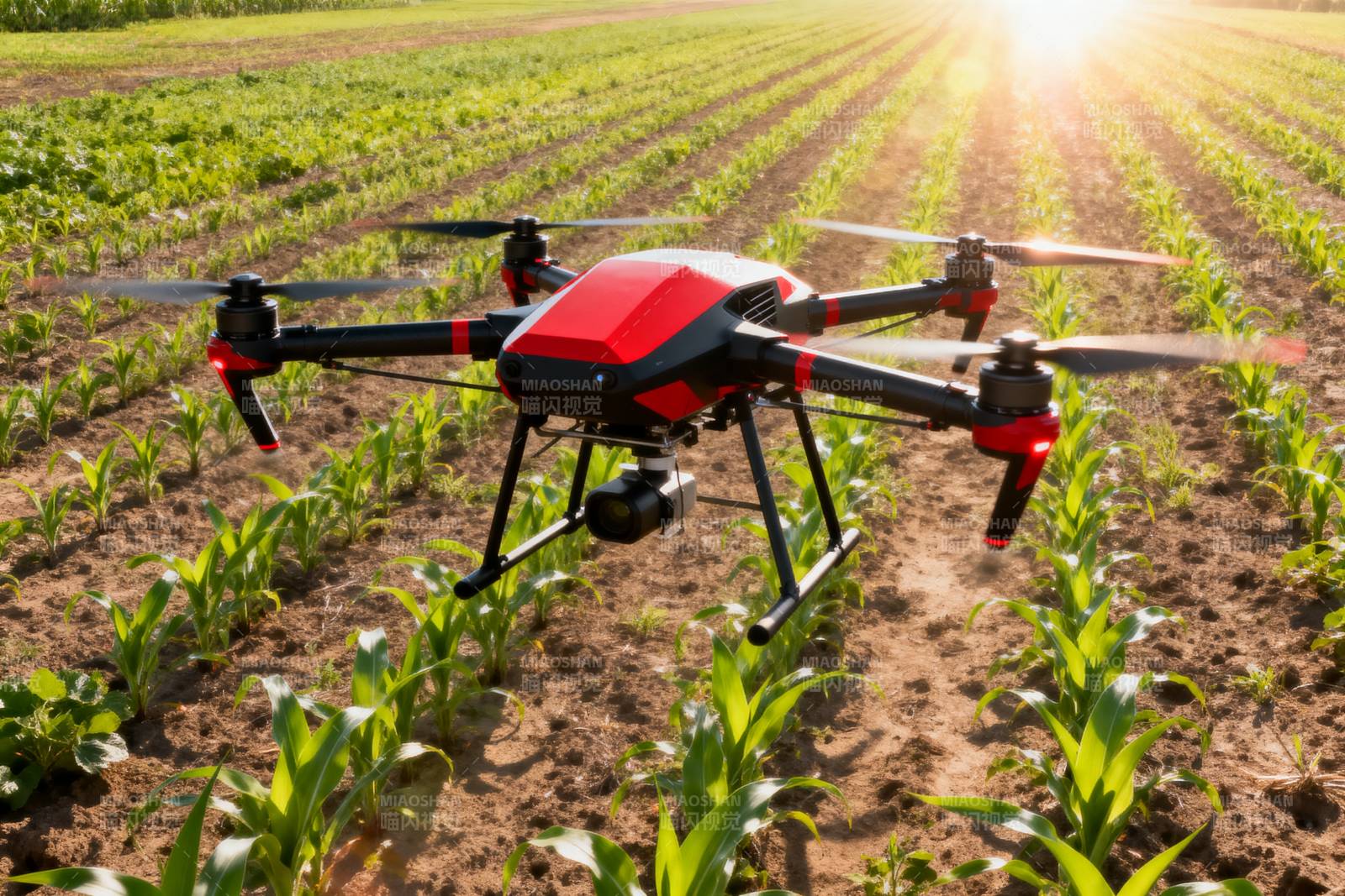 无人机巡田图片