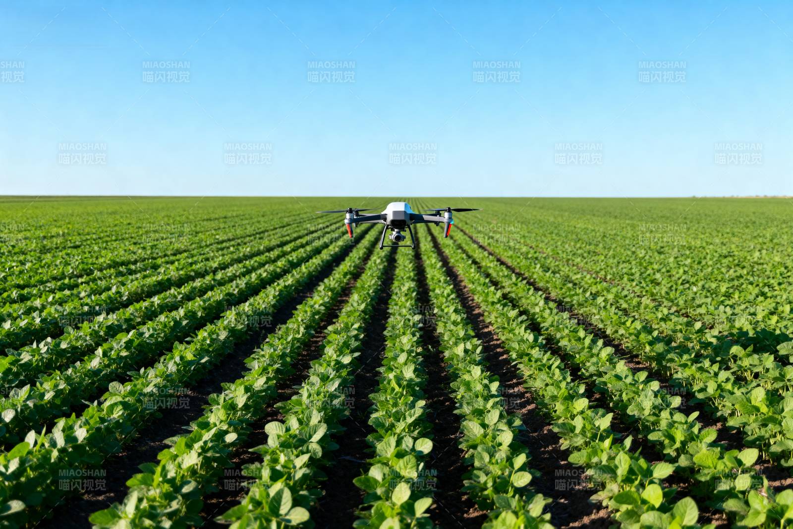 无人机巡田图片