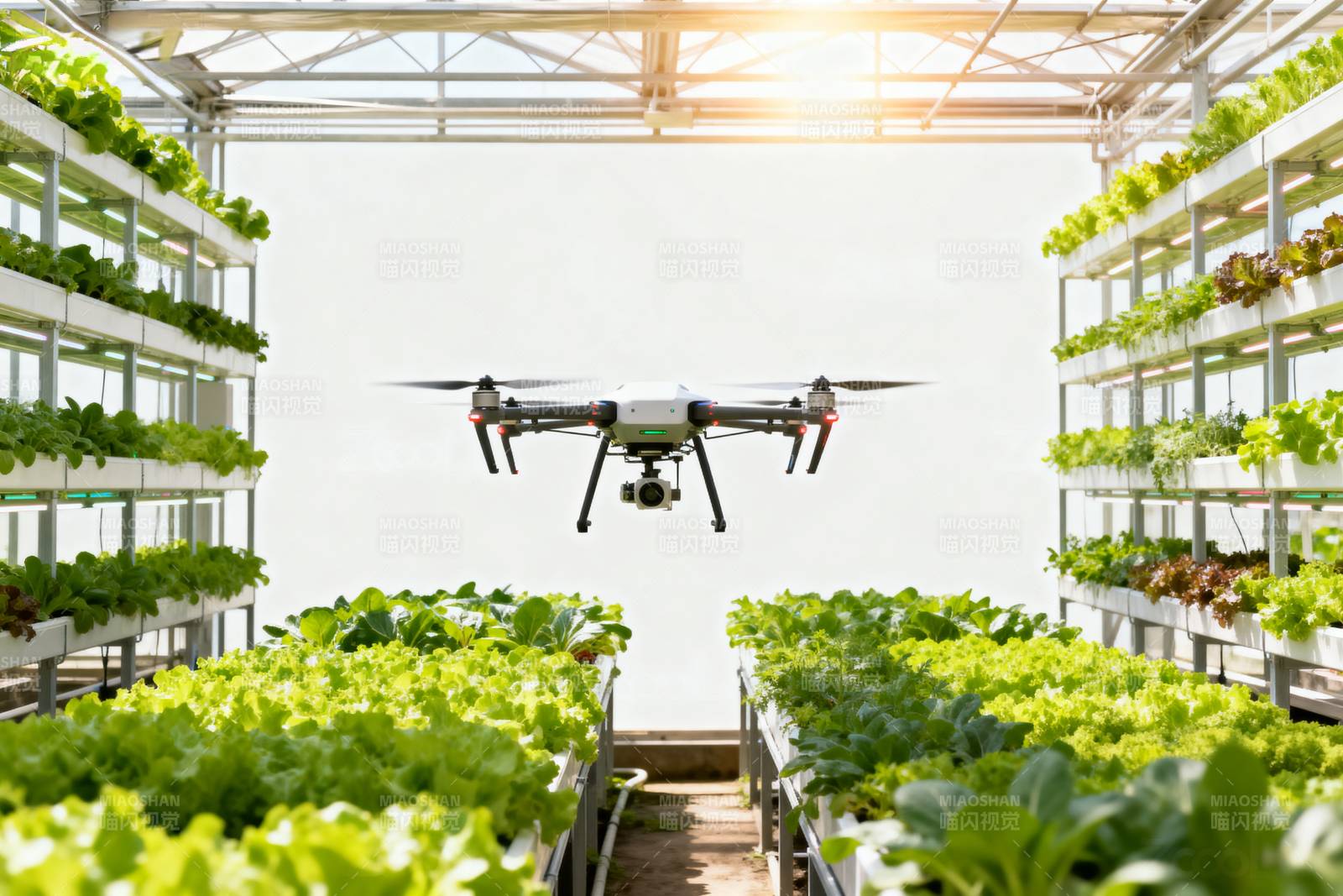 智能温室无人机巡检图片