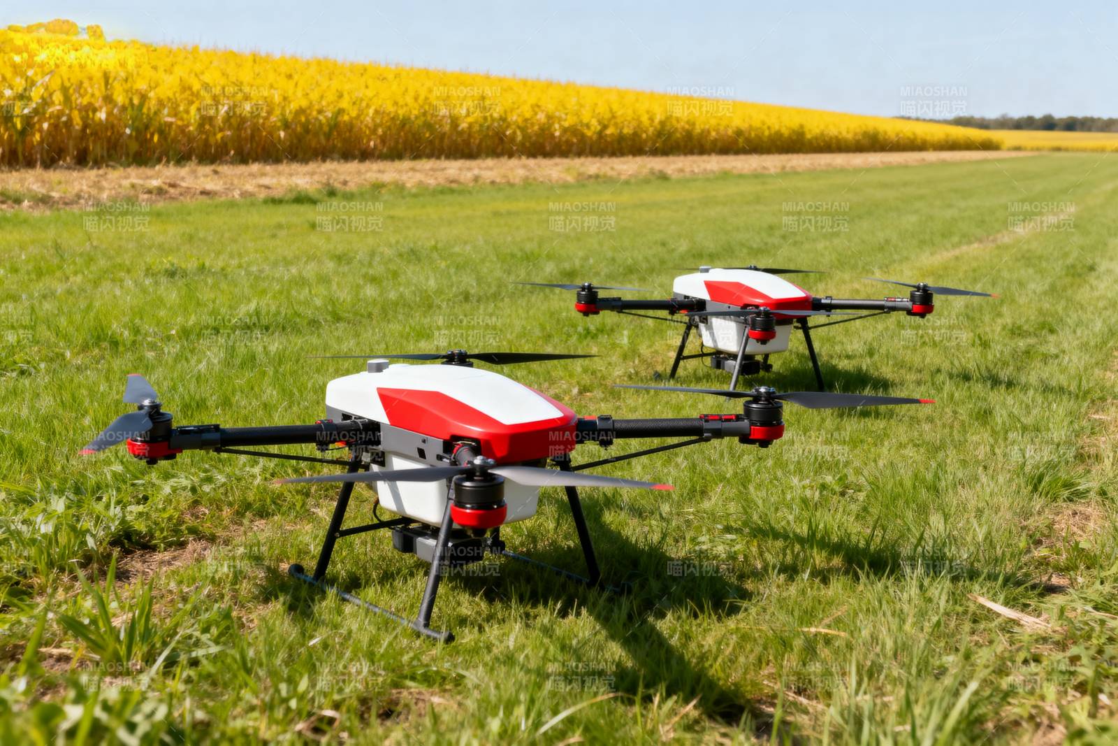 农田中的无人机图片
