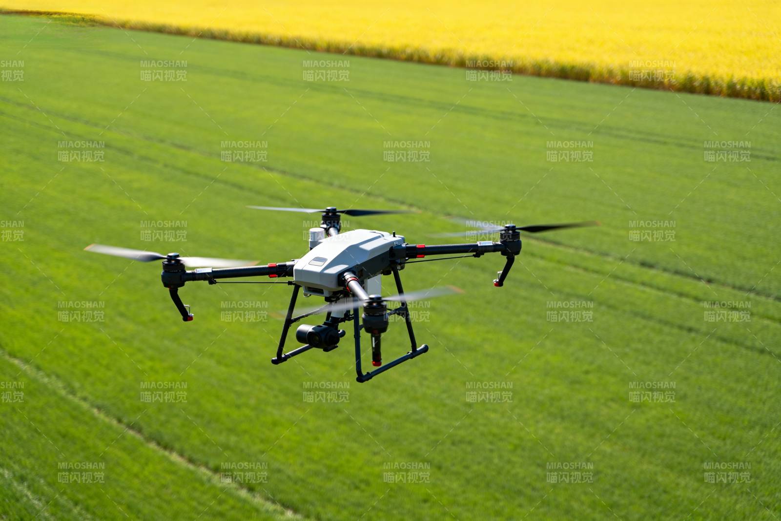 无人机飞越绿野图片