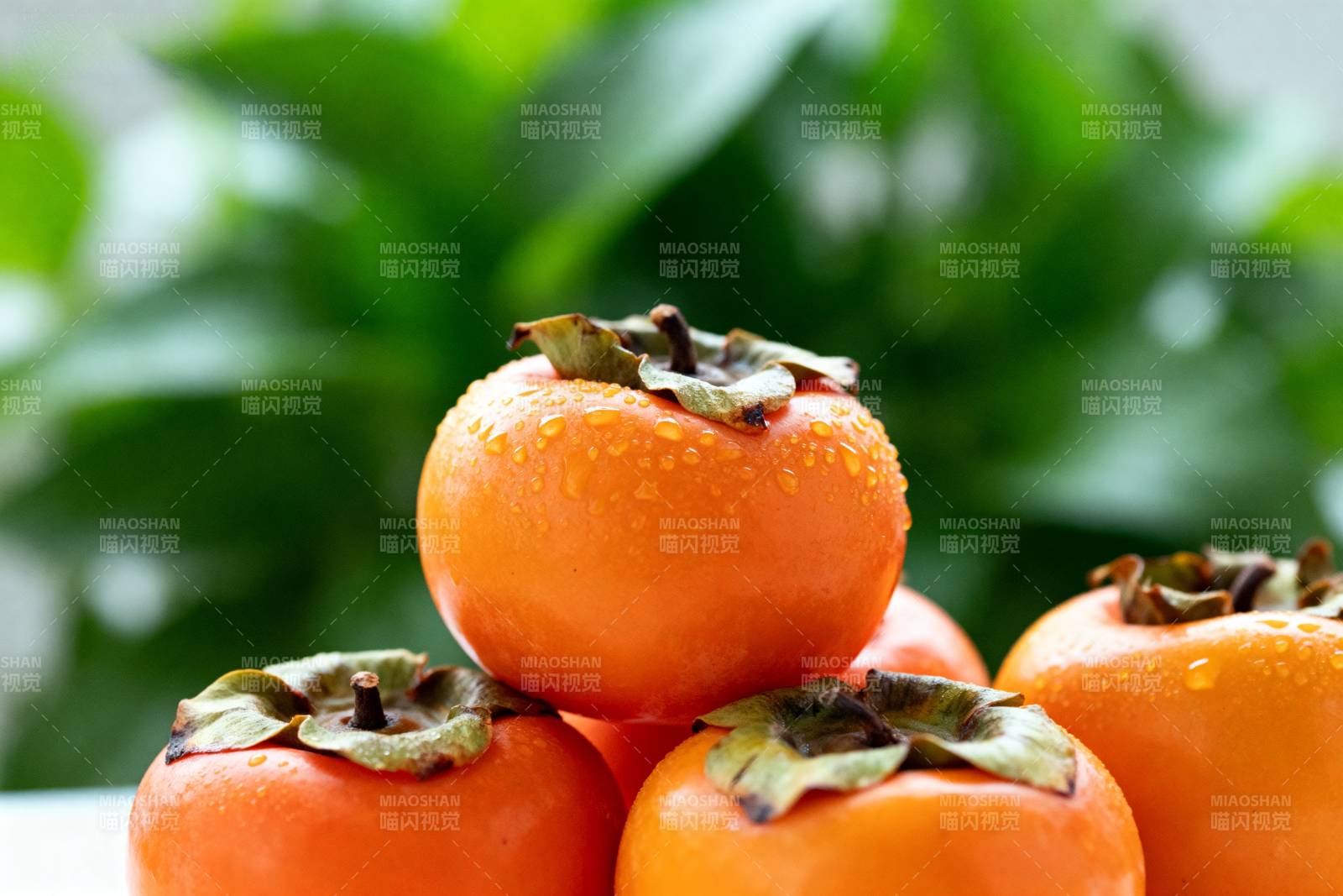 新鲜柿子堆叠图图片