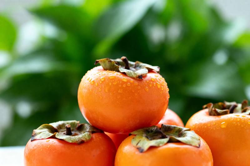 新鲜柿子堆叠图图片