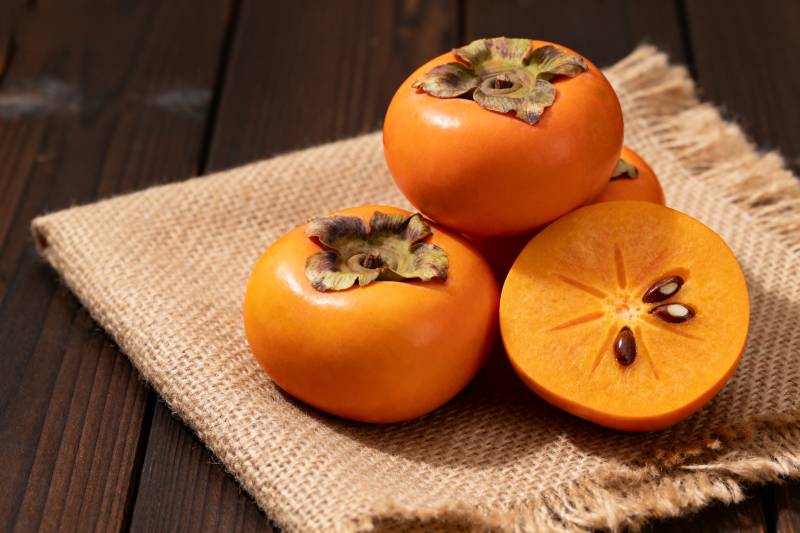 柿子静物图图片