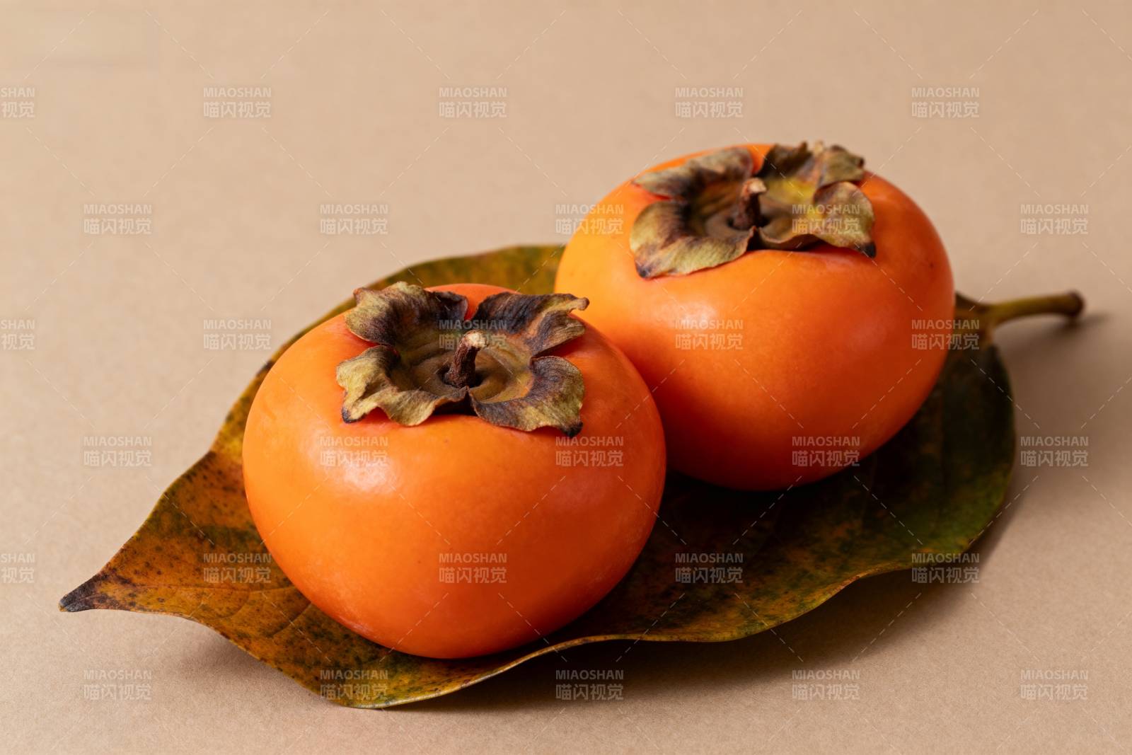 柿子静物图图片