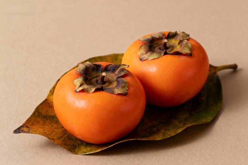 柿子静物图图片