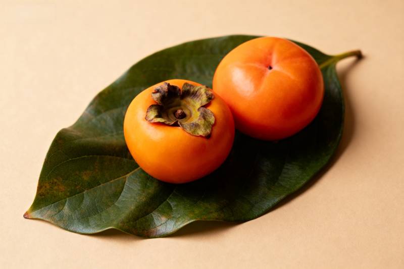 柿子静物图图片