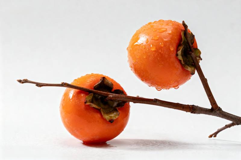 柿子枝头挂图片