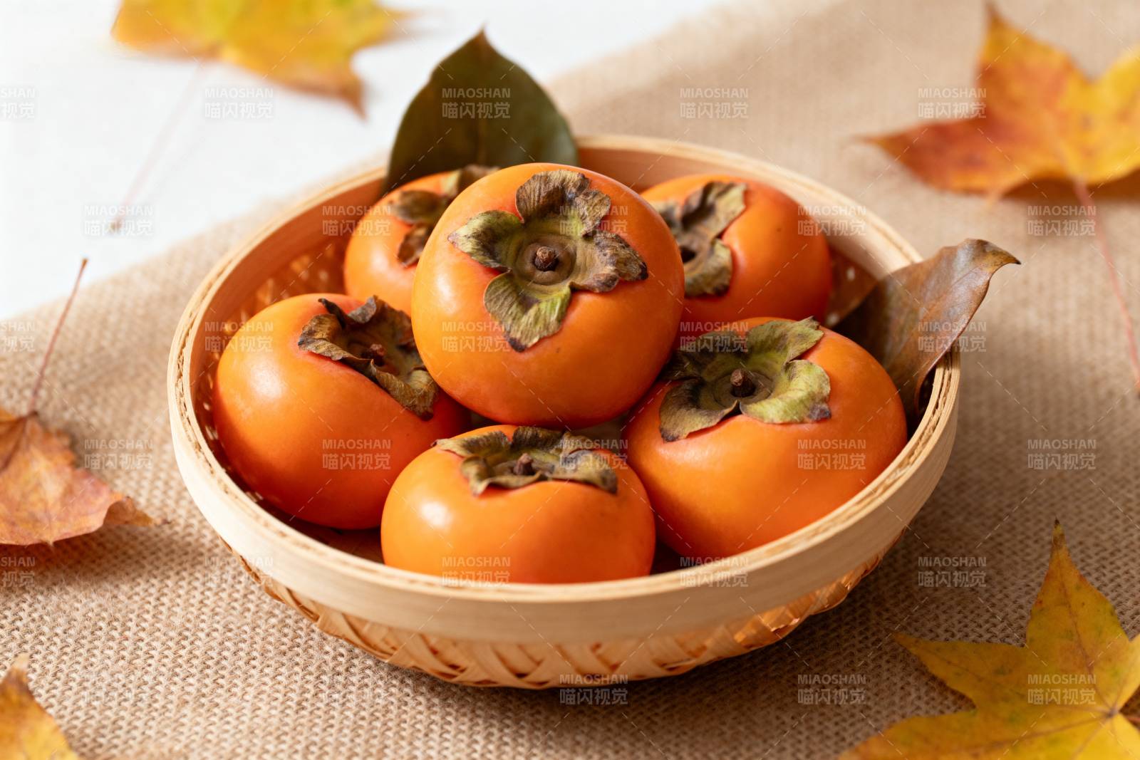 秋日柿子静物图片