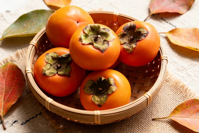 秋日柿子篮图片