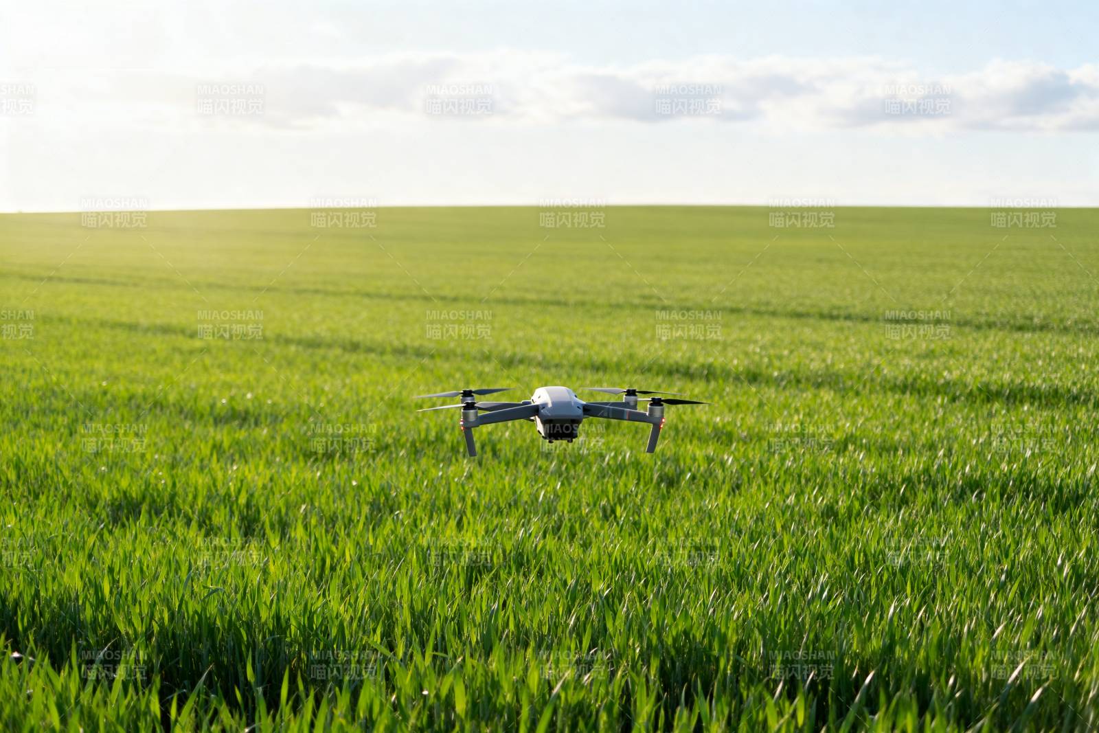 无人机飞越绿野图片