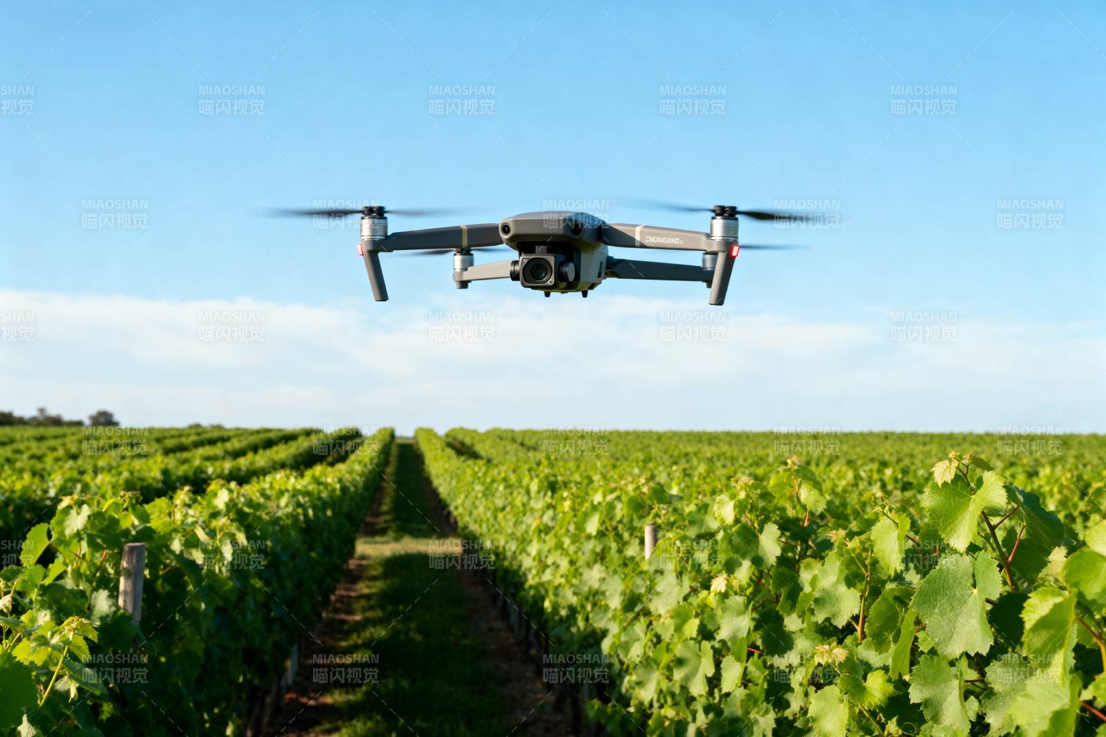 无人机巡检葡萄园图片