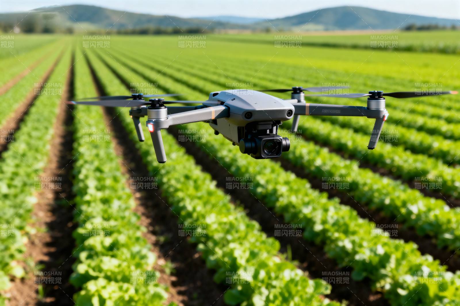 无人机巡田图片