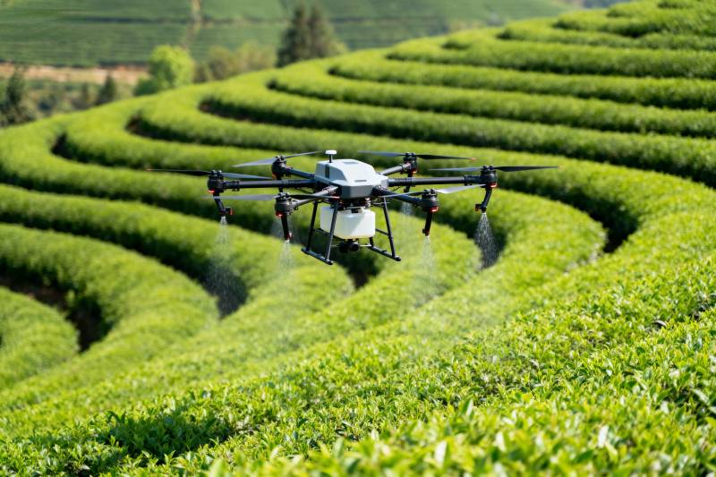 无人机茶园喷洒图片