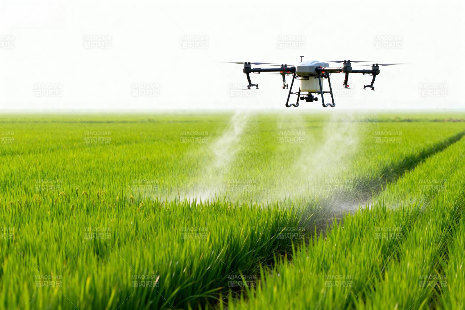 无人机喷洒农田图片