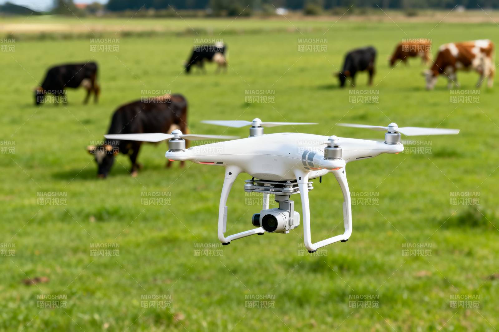 无人机巡牧田园图片