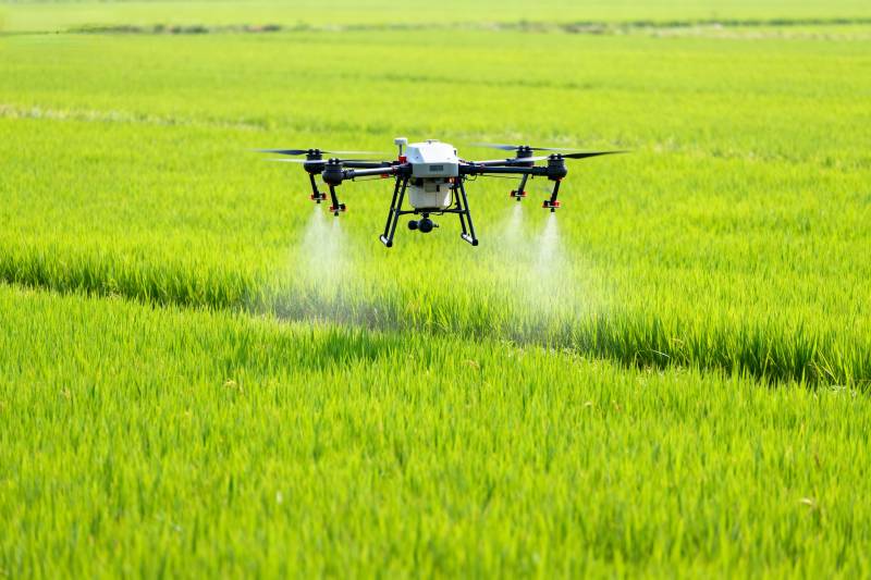无人机喷洒农田图片