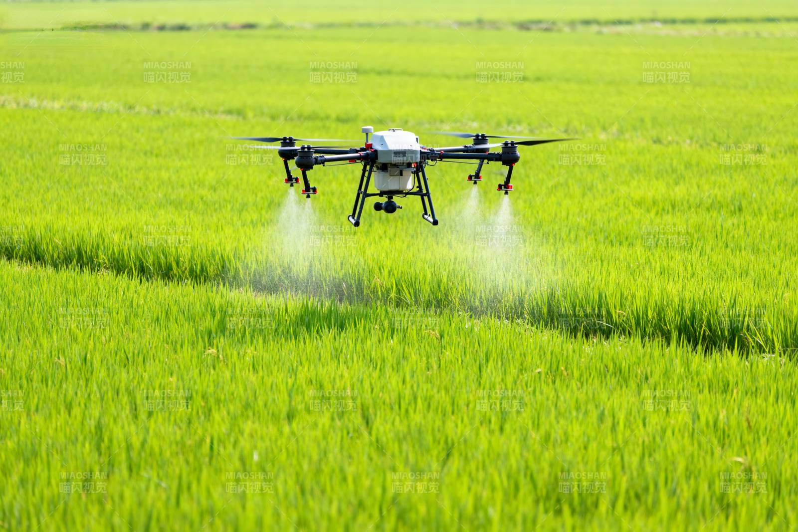 无人机喷洒农田图片