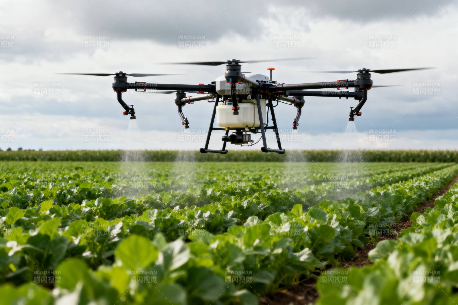 无人机喷洒农田图片