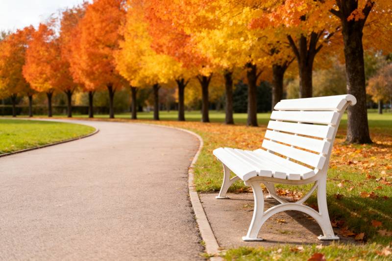 秋日公园长椅图片