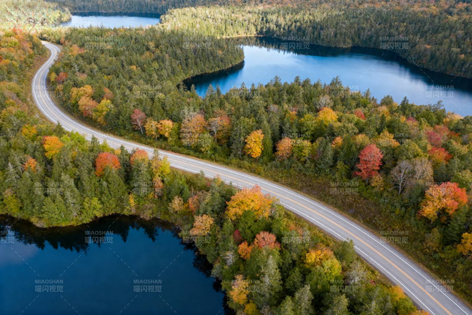 秋林湖畔公路美景图片