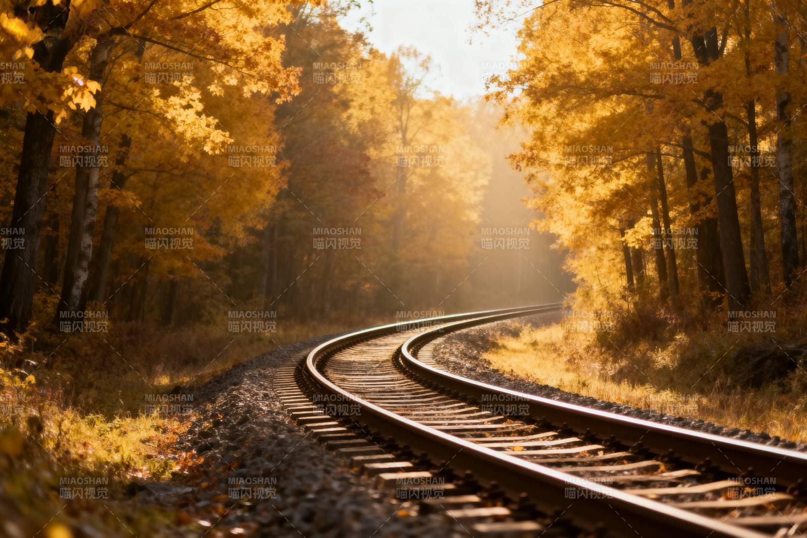 秋林铁轨图片