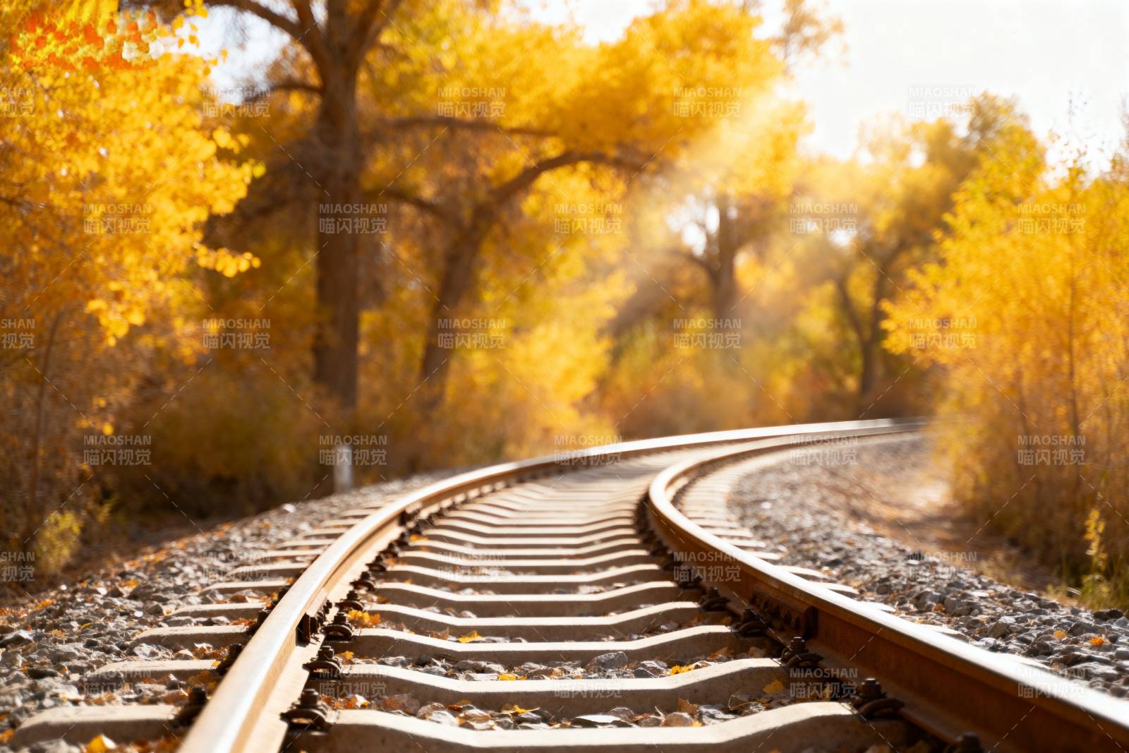 秋日铁轨蜿蜒前行图片
