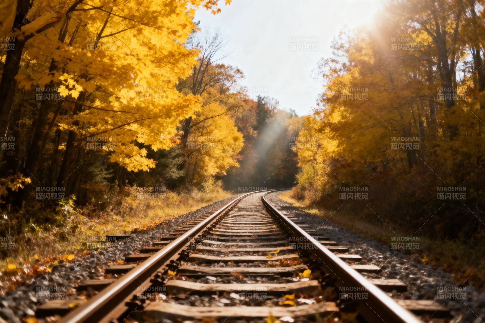 秋日铁轨穿林而过图片